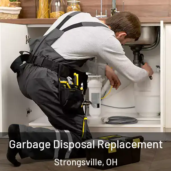  Garbage Disposal Replacement Strongsville, OH
