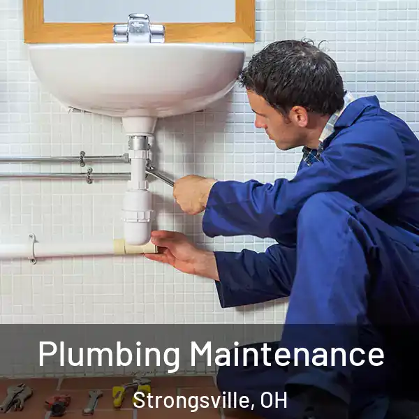  Plumbing Maintenance Strongsville, OH