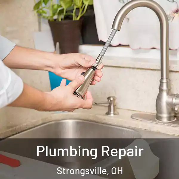  Plumbing Repair Strongsville, OH