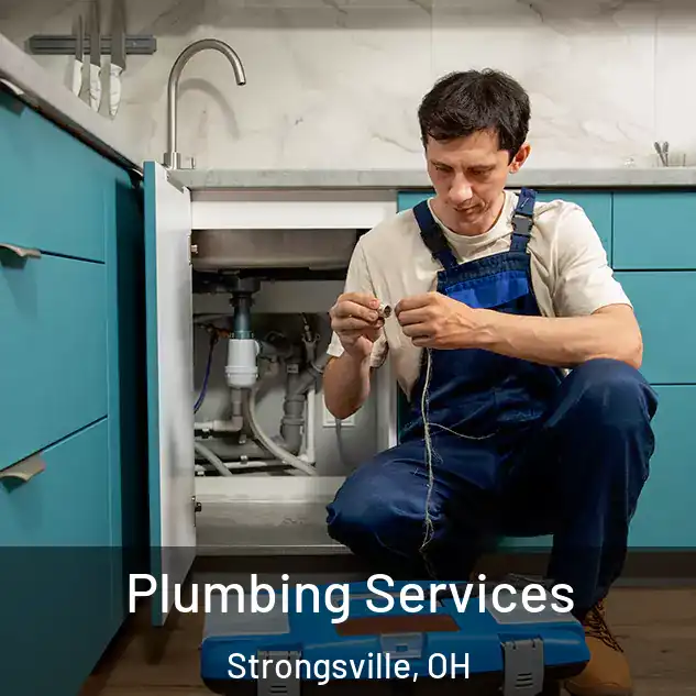 Plumbing Services Strongsville, OH