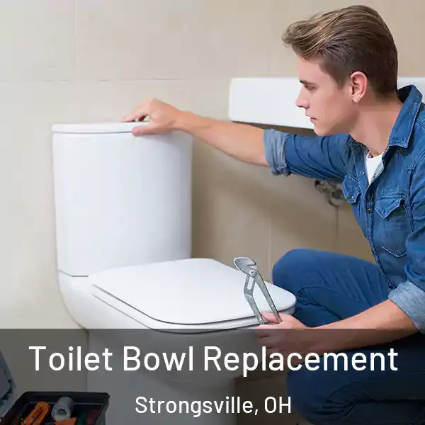  Toilet Bowl Replacement Strongsville, OH