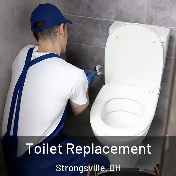  Toilet Replacement Strongsville, OH